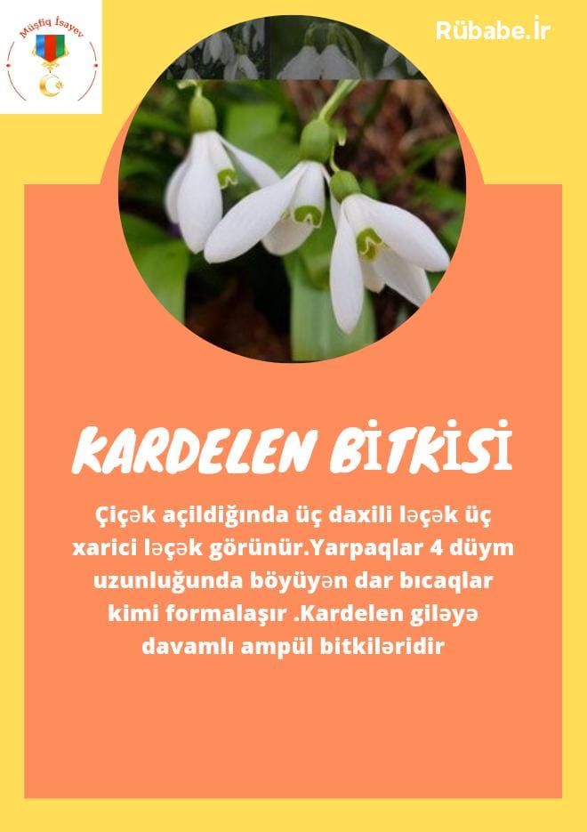 SOYU TÜKENEN VE TÜKENMEKTE OLAN CANLILAR by SELVİ MARANCI - Ourboox.com