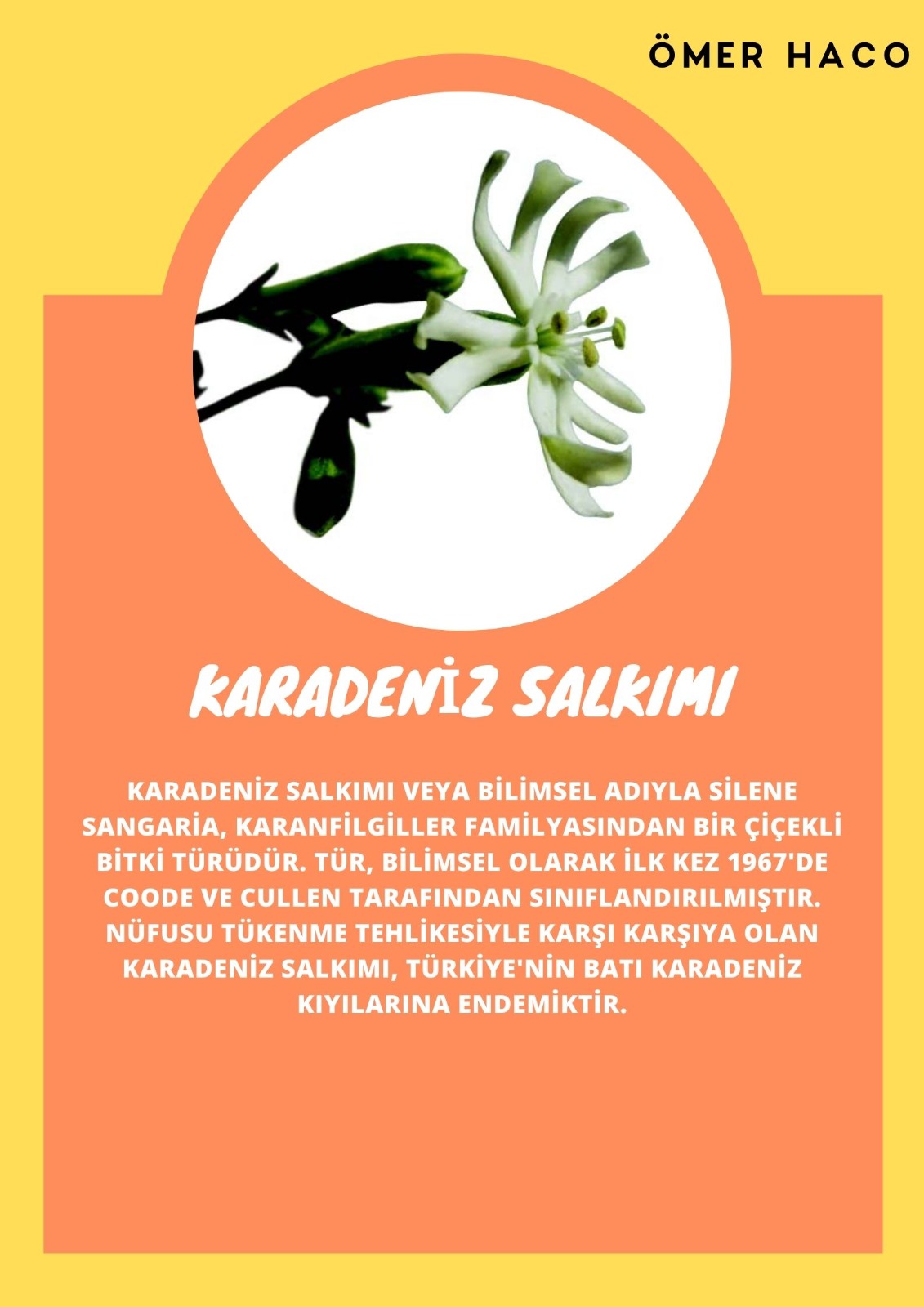 SOYU TÜKENEN VE TÜKENMEKTE OLAN CANLILAR by SELVİ MARANCI - Ourboox.com