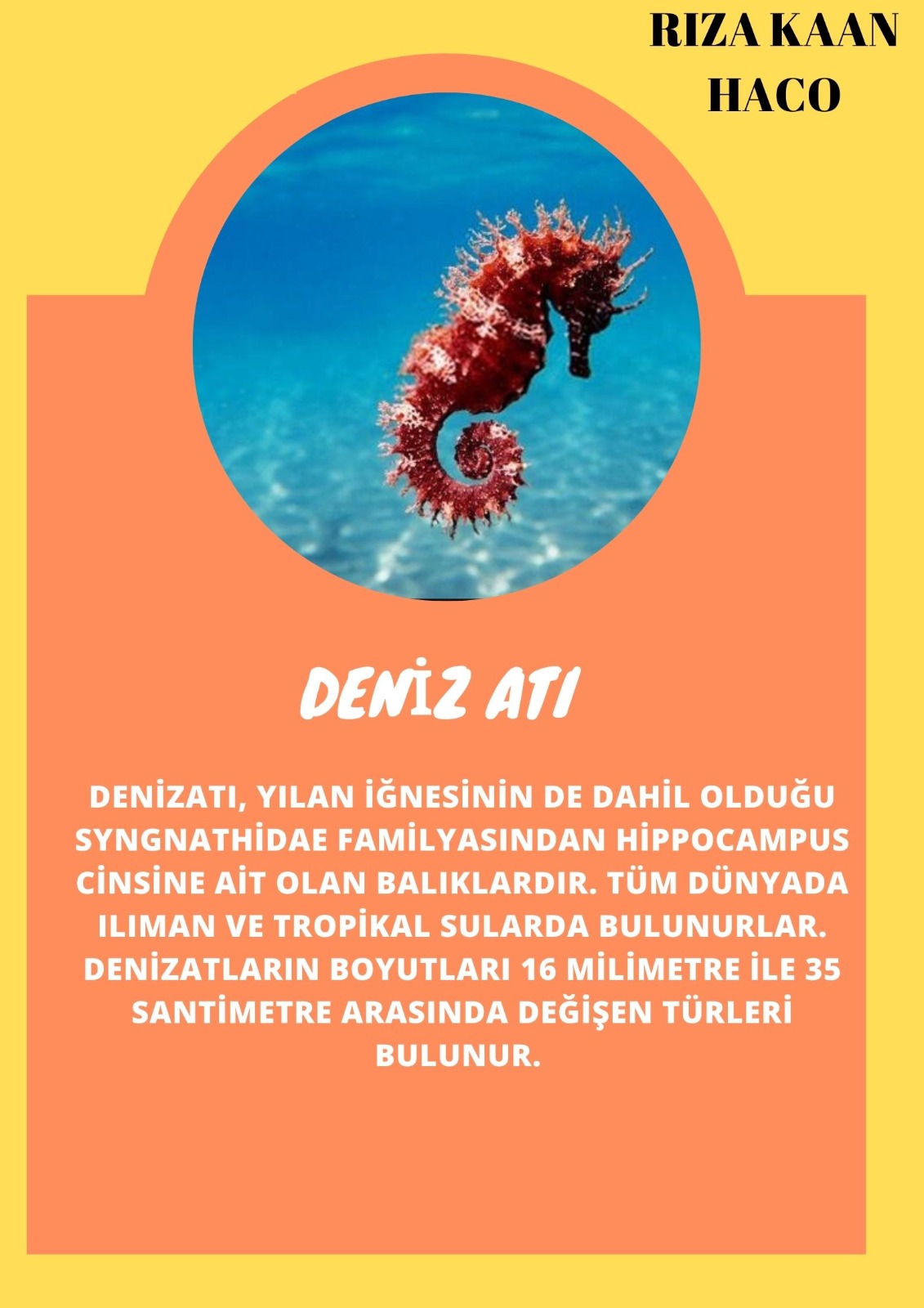 SOYU TÜKENEN VE TÜKENMEKTE OLAN CANLILAR by SELVİ MARANCI - Ourboox.com