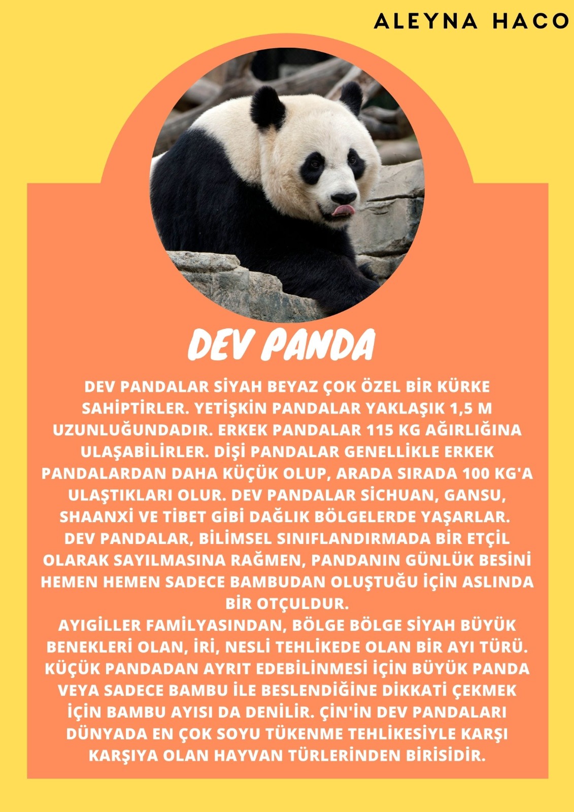 SOYU TÜKENEN VE TÜKENMEKTE OLAN CANLILAR by SELVİ MARANCI - Ourboox.com