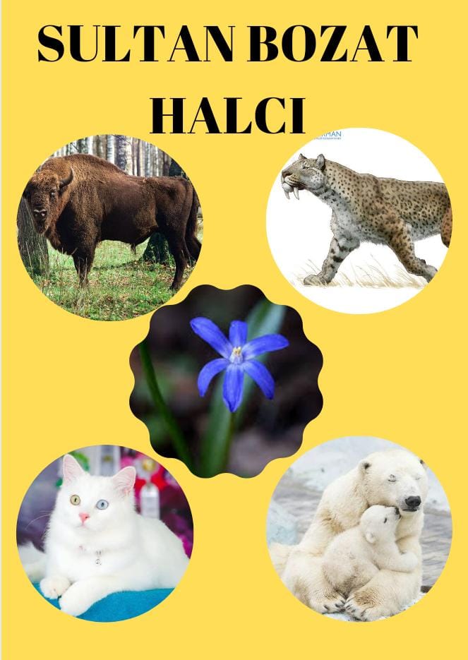 SOYU TÜKENEN VE TÜKENMEKTE OLAN CANLILAR by SELVİ MARANCI - Ourboox.com