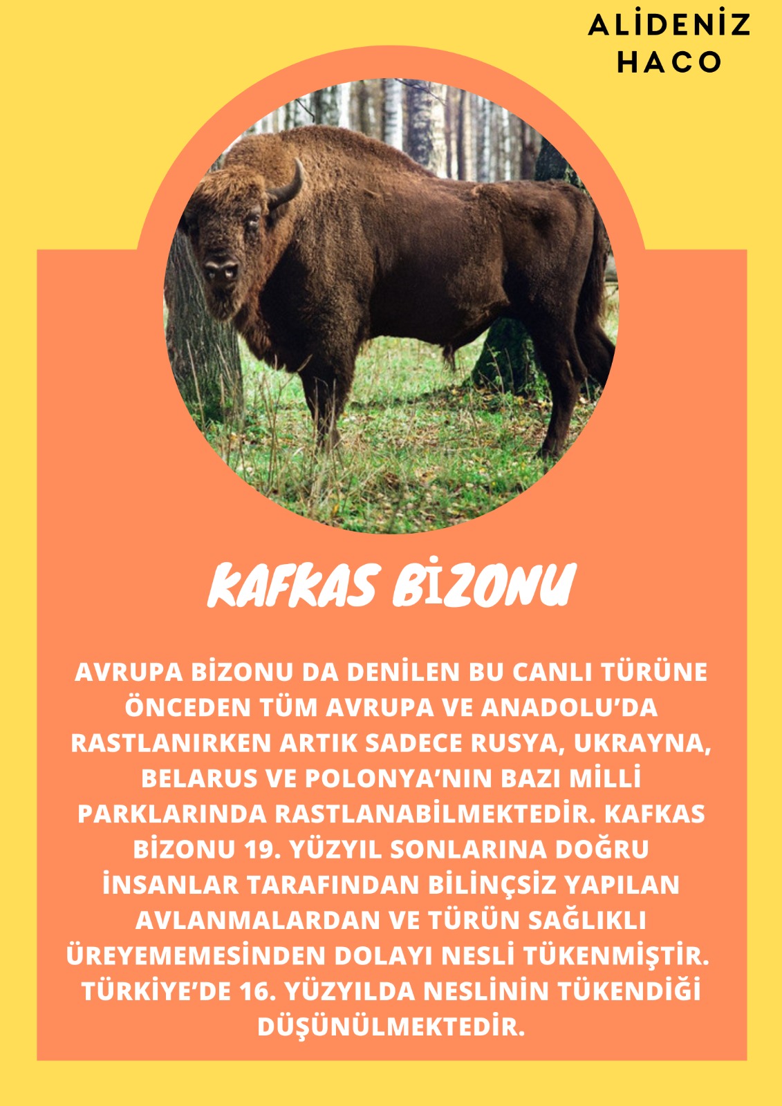 SOYU TÜKENEN VE TÜKENMEKTE OLAN CANLILAR by SELVİ MARANCI - Ourboox.com