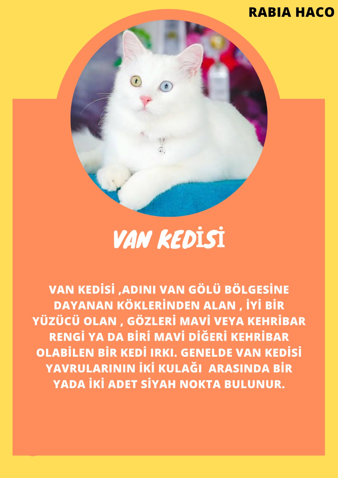 SOYU TÜKENEN VE TÜKENMEKTE OLAN CANLILAR by SELVİ MARANCI - Ourboox.com