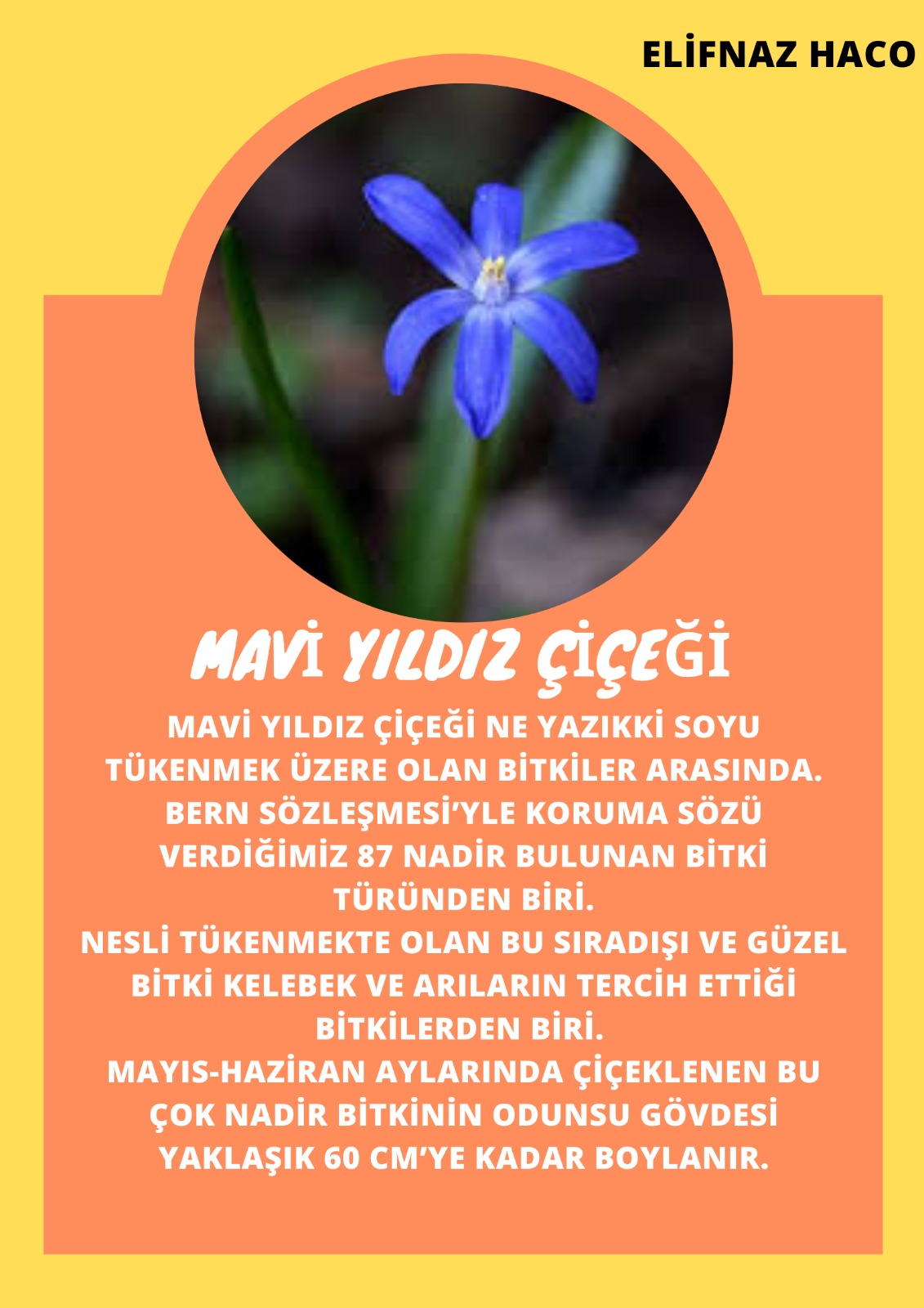 SOYU TÜKENEN VE TÜKENMEKTE OLAN CANLILAR by SELVİ MARANCI - Ourboox.com