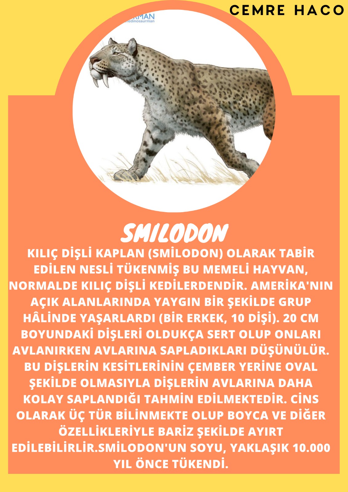 SOYU TÜKENEN VE TÜKENMEKTE OLAN CANLILAR by SELVİ MARANCI - Ourboox.com