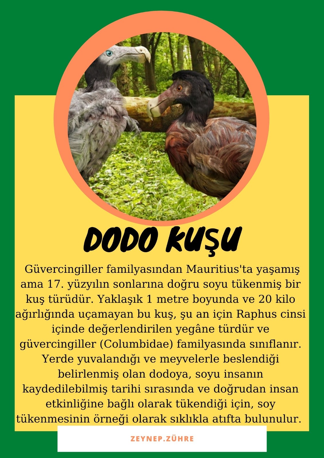 SOYU TÜKENEN VE TÜKENMEKTE OLAN CANLILAR by SELVİ MARANCI - Ourboox.com