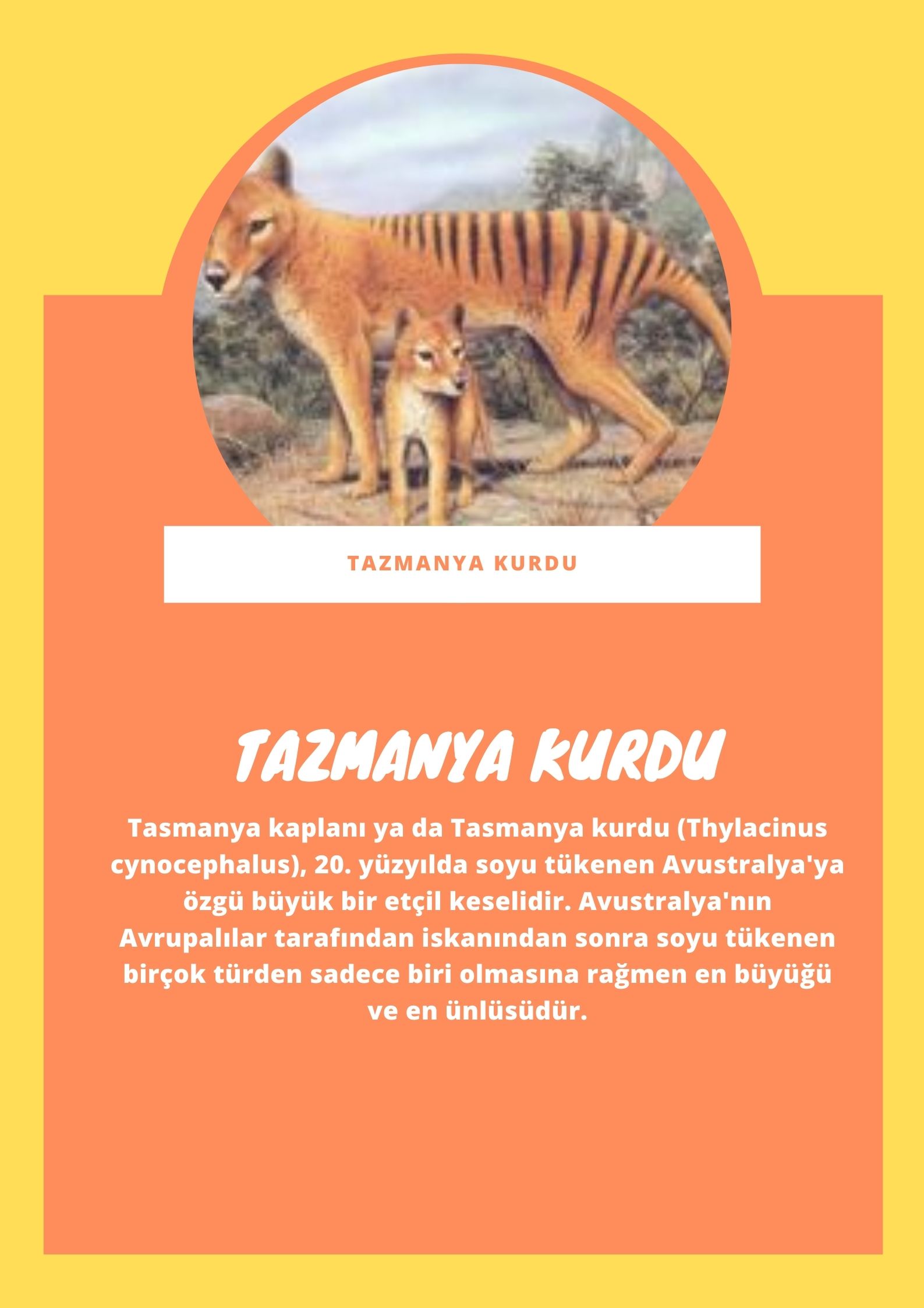 SOYU TÜKENEN VE TÜKENMEKTE OLAN CANLILAR by SELVİ MARANCI - Ourboox.com