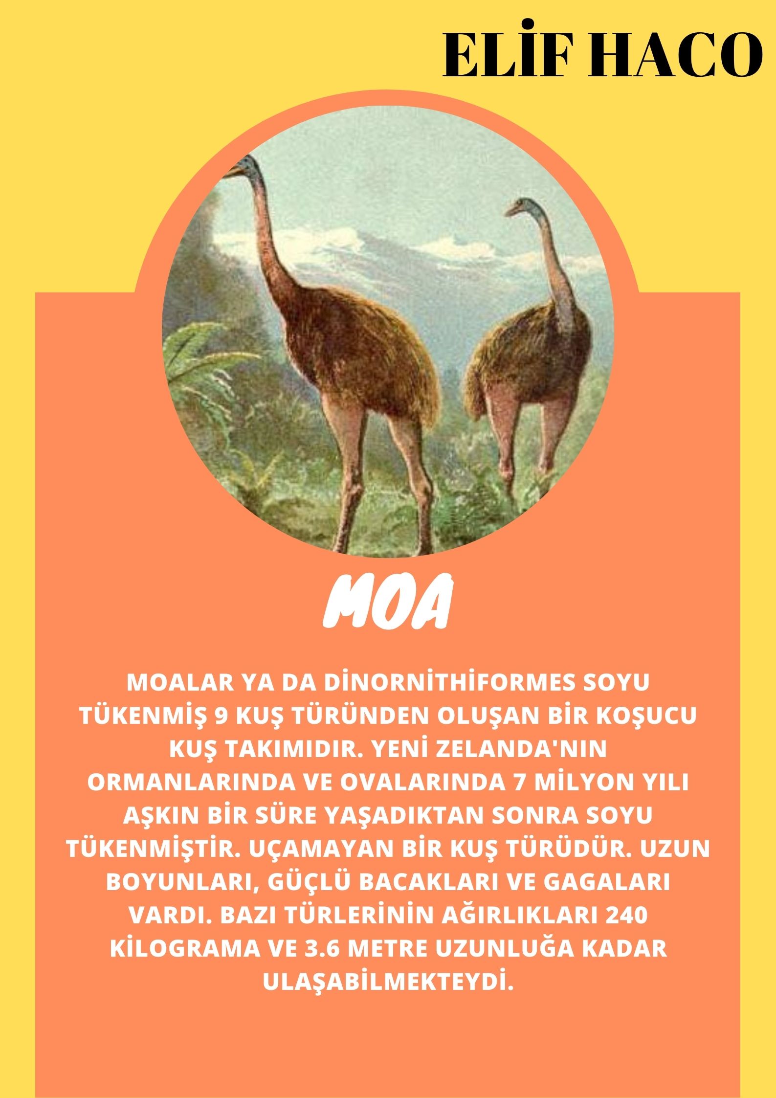 SOYU TÜKENEN VE TÜKENMEKTE OLAN CANLILAR by SELVİ MARANCI - Ourboox.com