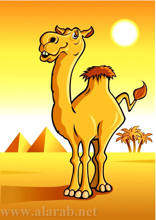 البيئة الحياتية by Haya alyan - Ourboox.com