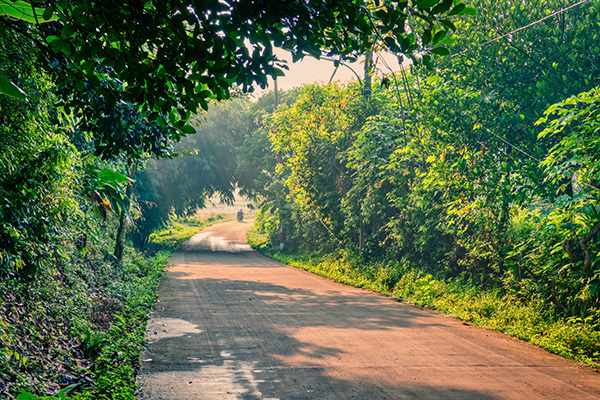 البيئة الحياتبة by Youmna - Ourboox.com
