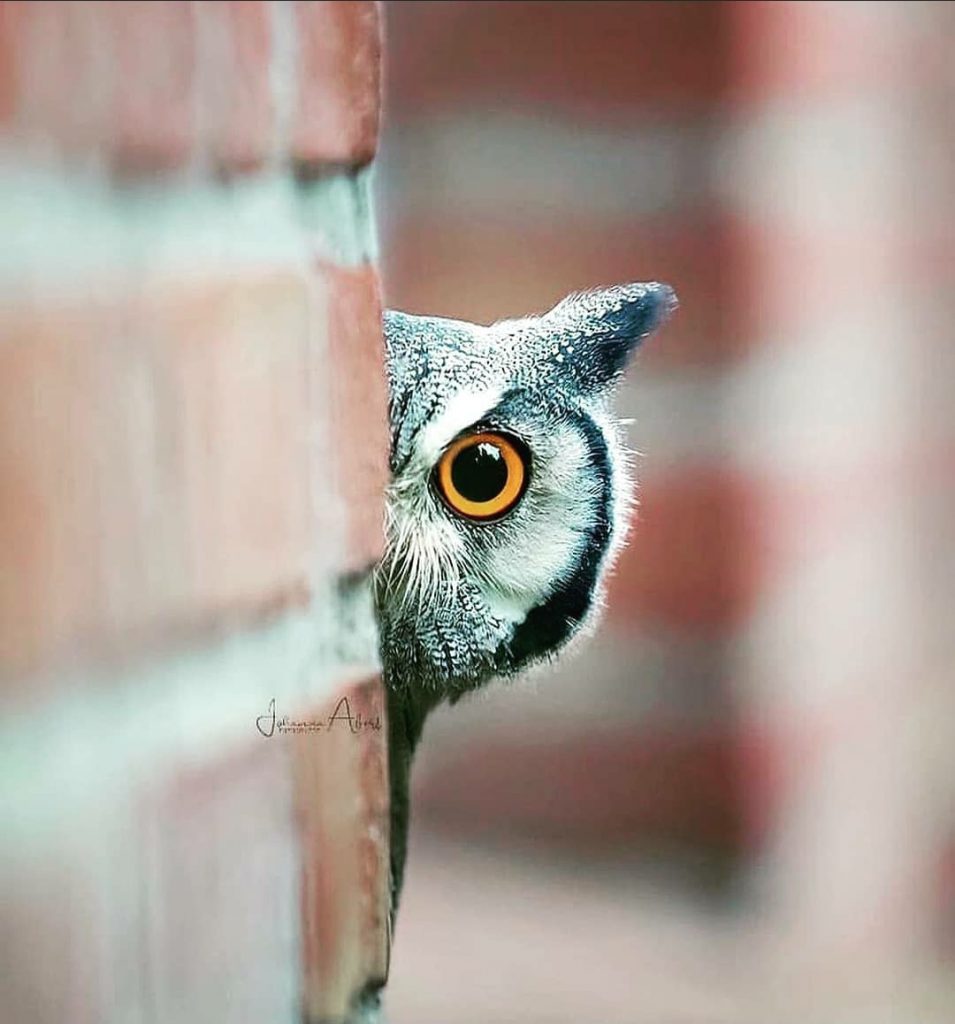 SAYGIYA DEĞER by Rumeysa SAĞIR - Ourboox.com