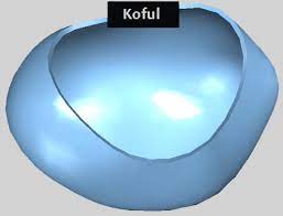 HÜCRE ORGANELLERİ by Ceylin Özben - Ourboox.com