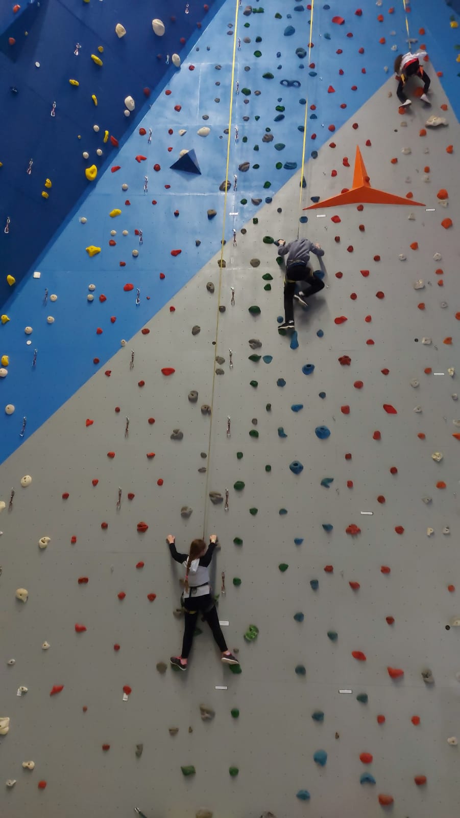 עבודת שורשים בסין לידן ז’5 by lidan basin - Ourboox.com