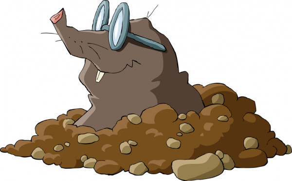 Il segreto di Villa Camilla… alternativo! A cura della 1O by Roberta Vasto - Ourboox.com