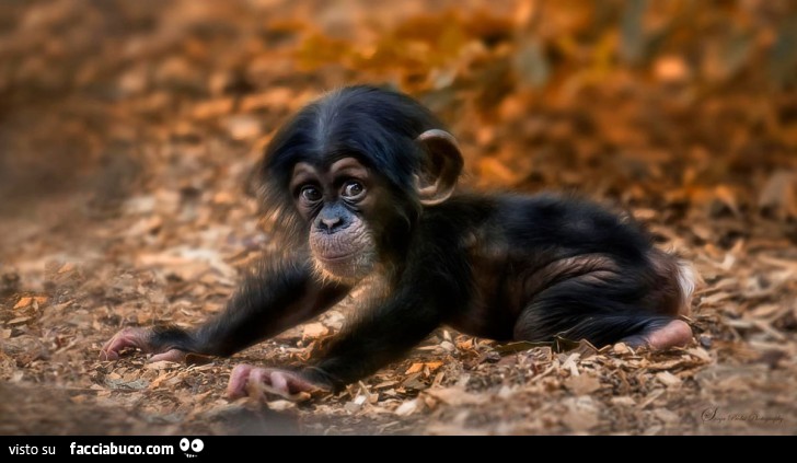 Il segreto di Villa Camilla… alternativo! A cura della 1O by Roberta Vasto - Ourboox.com