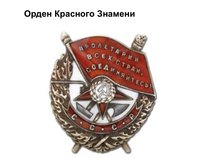 סדוגין איוון עבודת שורשים by ivansadogin - Ourboox.com