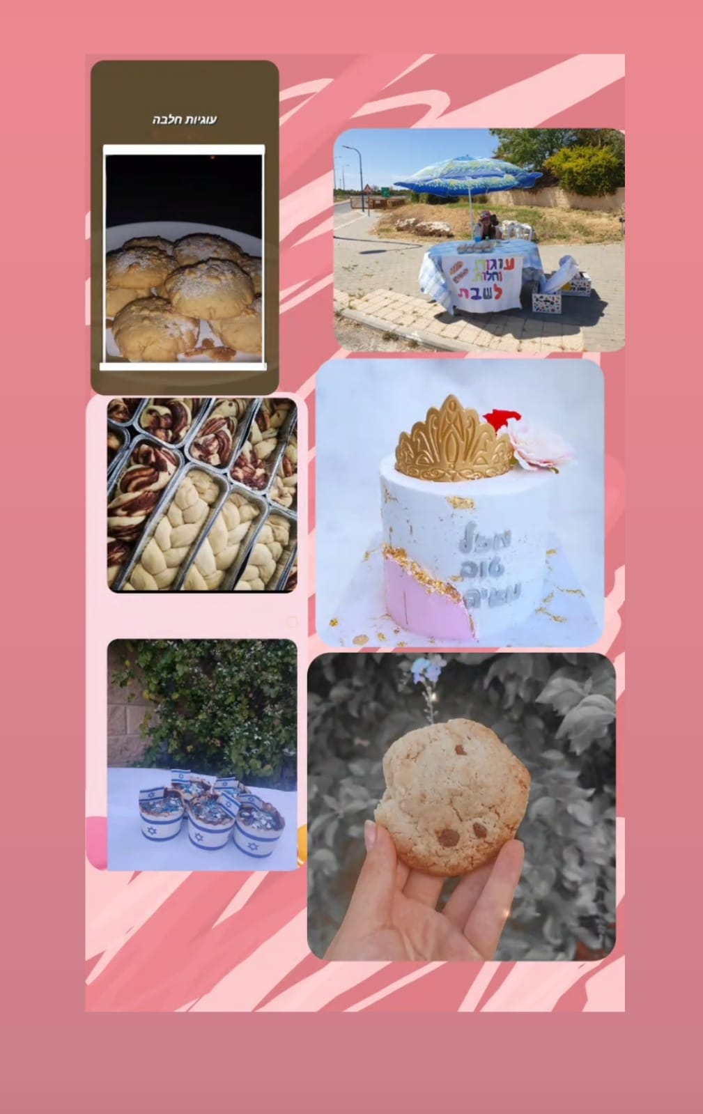 עבודת שורשים של שקד וינוגרד by shaked - Ourboox.com