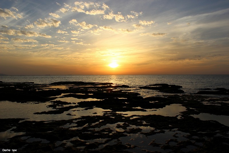 עבודת שורשים – נועם צמח by noam tzemach - Ourboox.com