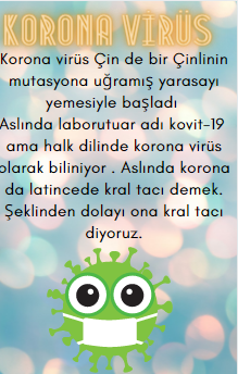 Aramıza Sızan Korona🦠 by Elif Yağmur ve Ece - Ourboox.com