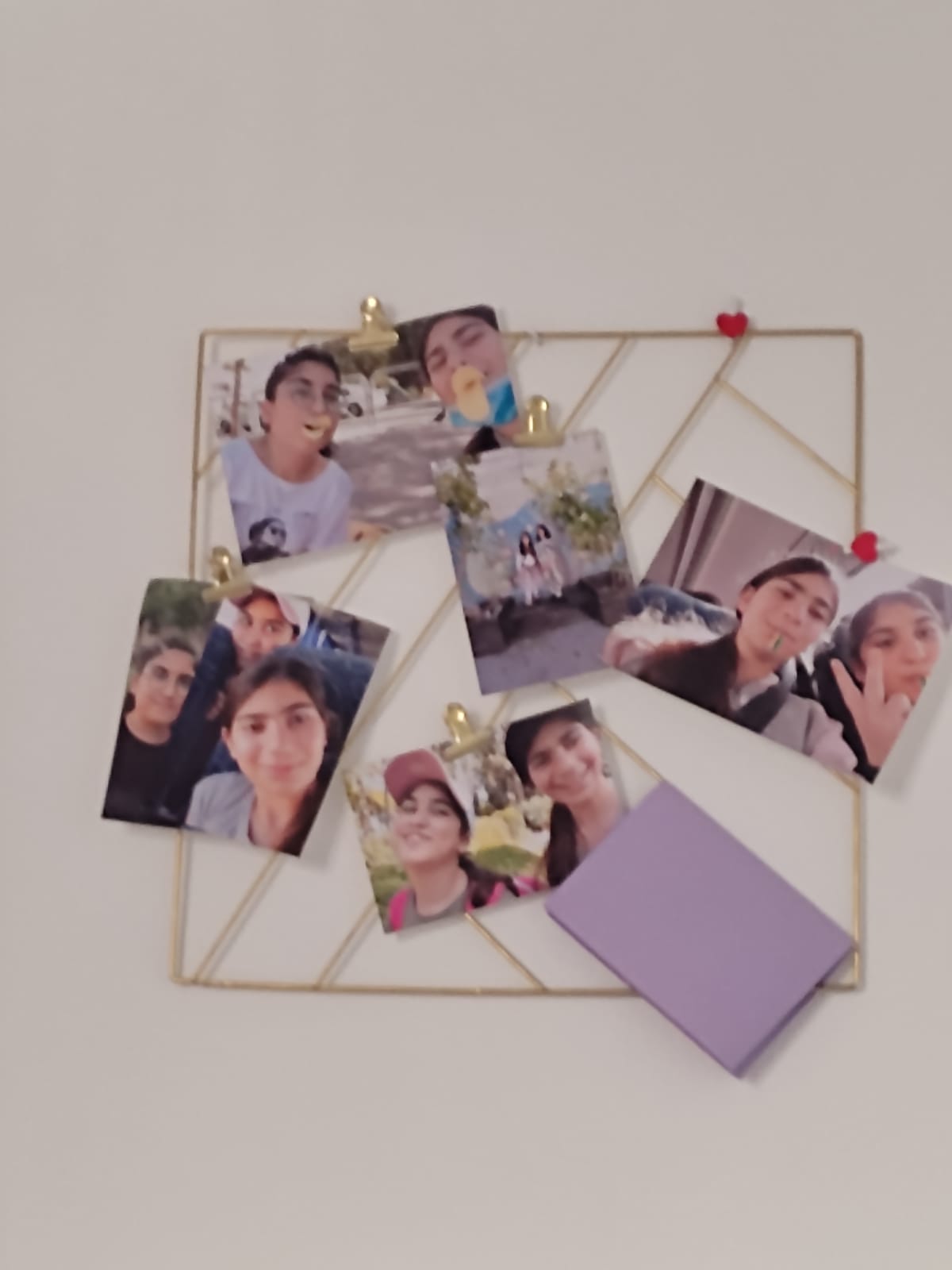 עבודת שורשים – שני מזרחי by shani mizrahi - Ourboox.com