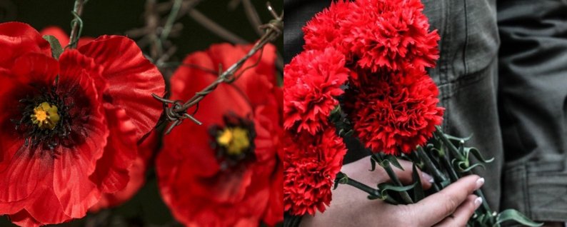 Мак пам’яті by Kovalenko Olga - Ourboox.com