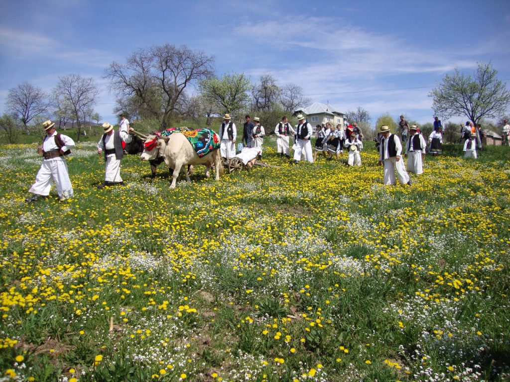 Udătoriul from Surdesti Romania by Project eTwinning - Illustrated by Student Tămaș Anastasia-Romania - Ourboox.com