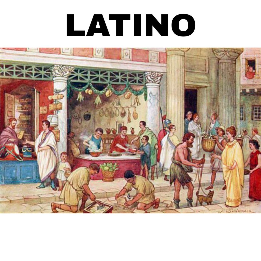 Lavoro interdisciplinare educazione civica by Gruppo E - Ourboox.com