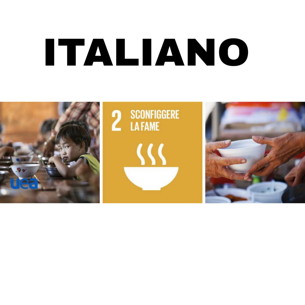 Lavoro interdisciplinare educazione civica by Gruppo E - Ourboox.com