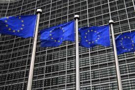 L’Unione Europa by Valeria - Ourboox.com