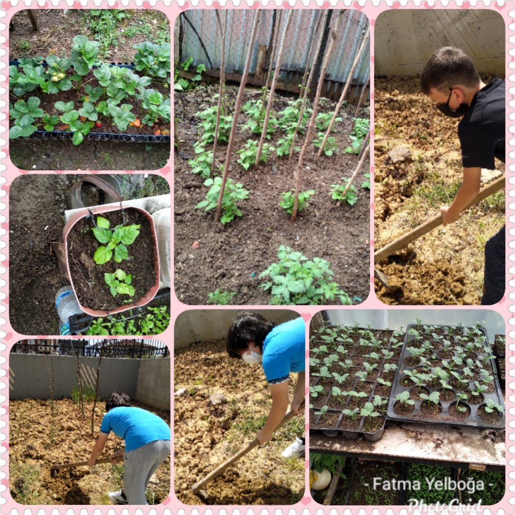 We love plants! Recipes Km0 with fruit and vegetables of our vegetable garden by Luisa - Ourboox.com