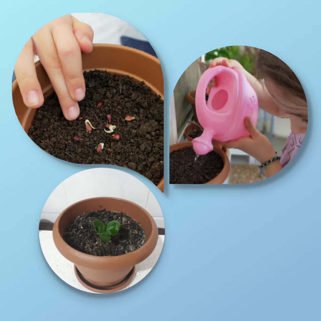 We love plants! Recipes Km0 with fruit and vegetables of our vegetable garden by Luisa - Ourboox.com