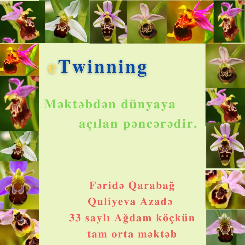 9 Mayıs 2021 eTwinning günü by Türkan Yüceyurt - Ourboox.com