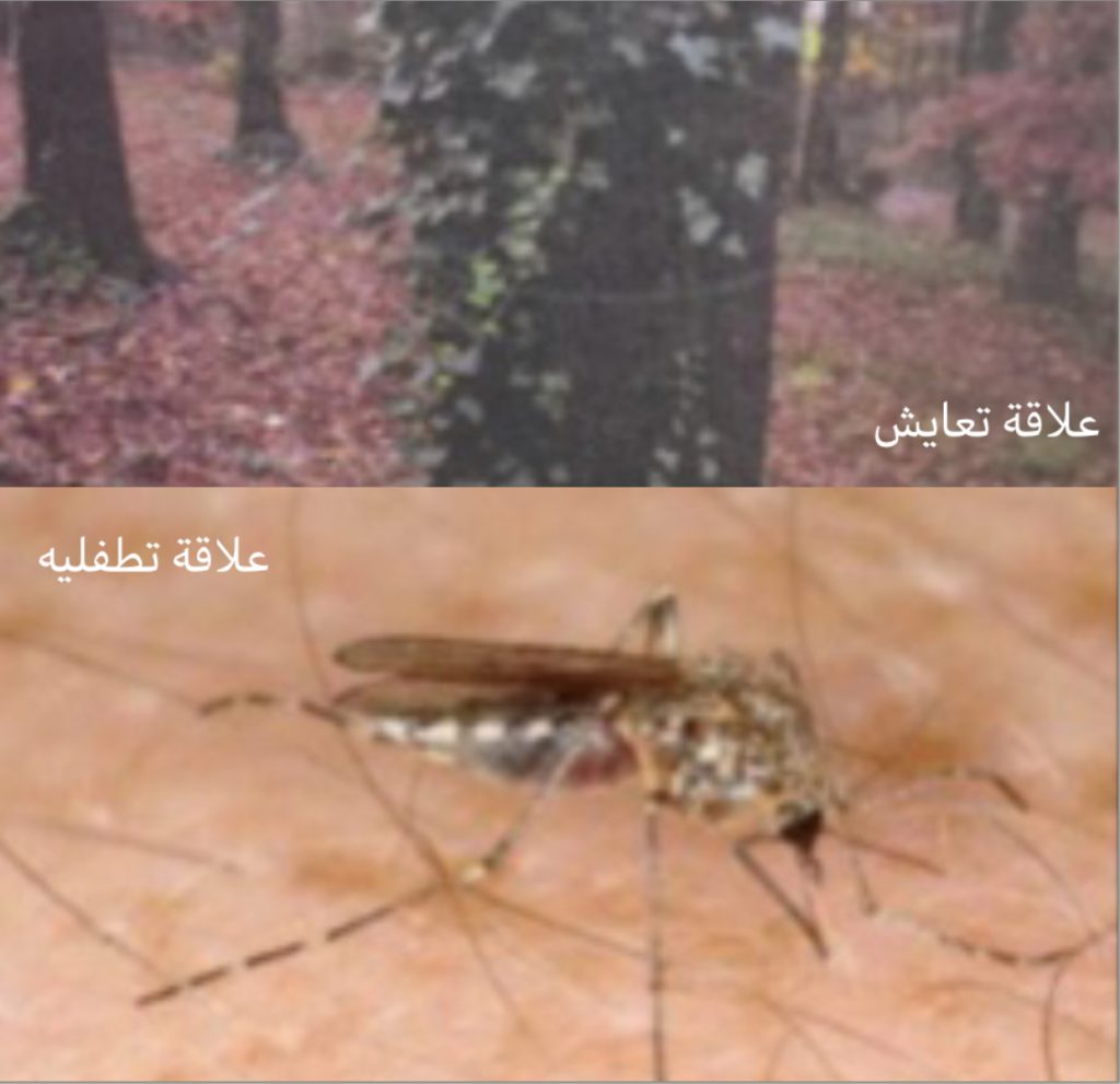 (المنظومات البيئيه (للصف السادس by Sofia Fawaz Assi - Ourboox.com