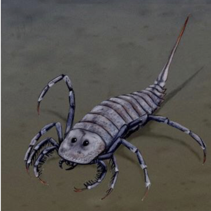 (المنظومات البيئيه (للصف السادس by Sofia Fawaz Assi - Ourboox.com