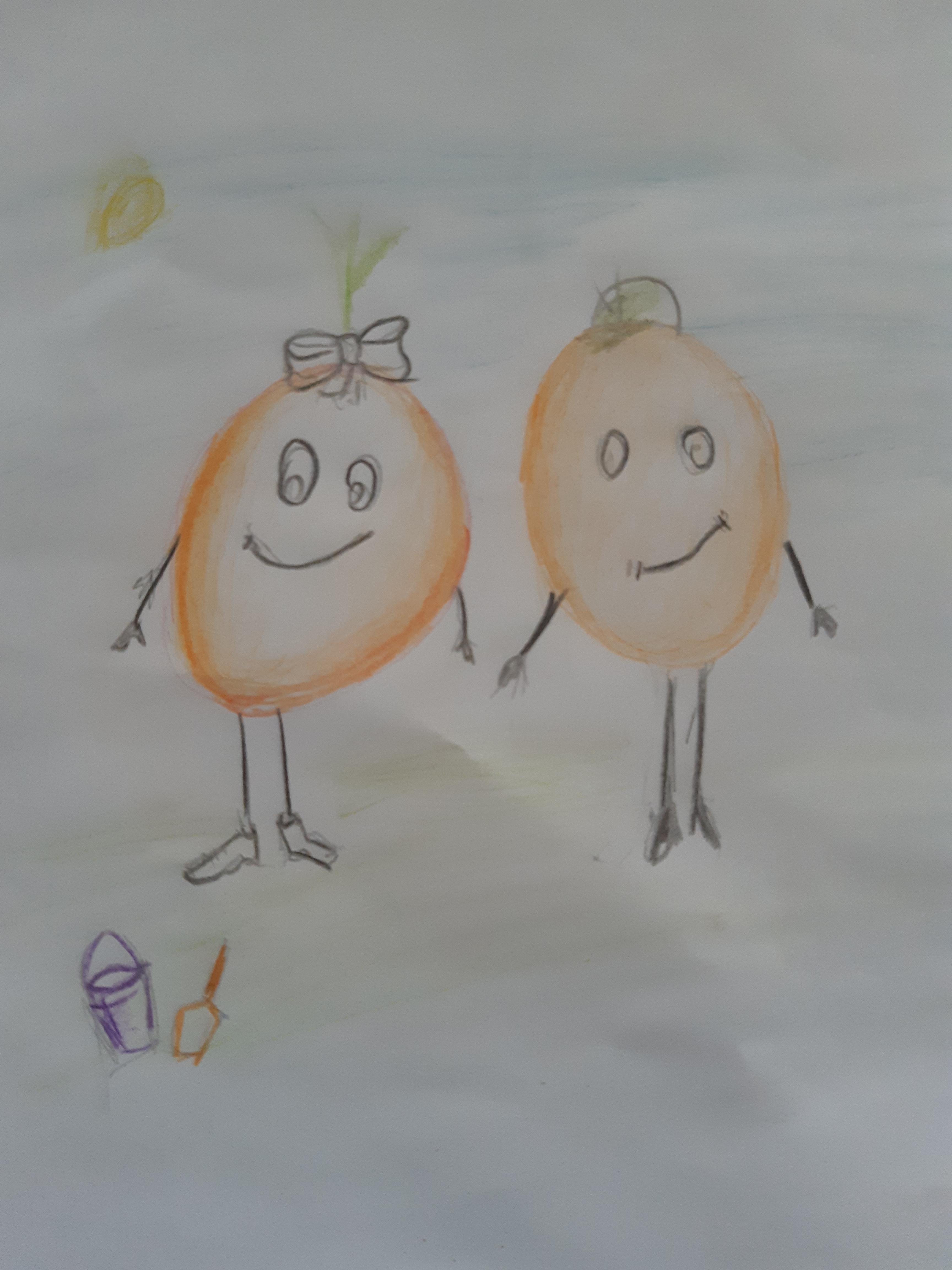 בכפר התפוזים יש הרבה תפוזים עגולים וכתומים