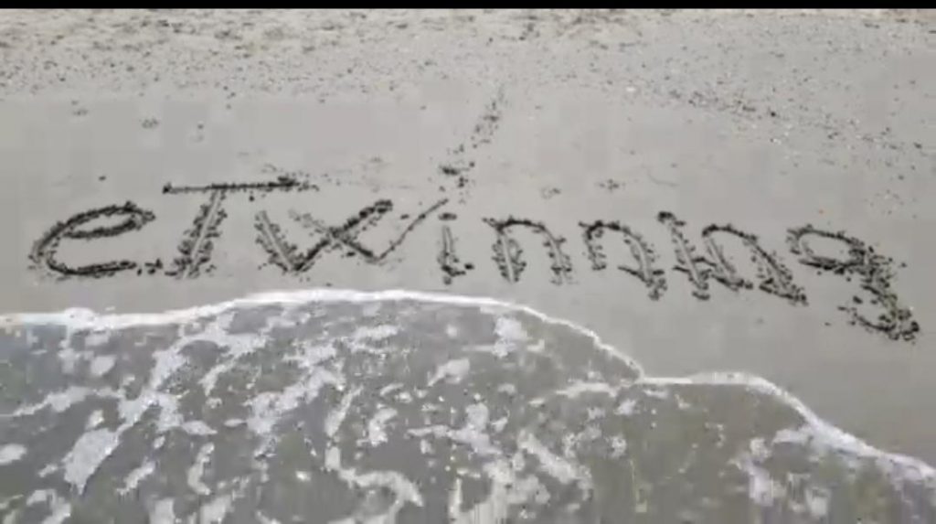 EN İYİ ARKADAŞIM 9 MAYIS E-TWİNNİNG GÜNÜ KUTLU OLSUN by AYŞE ÖZTÜRKER - Ourboox.com