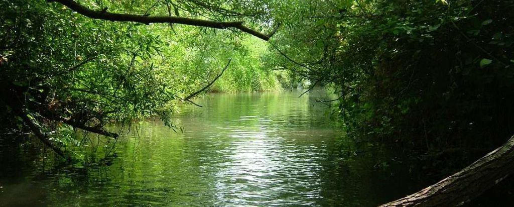 ספר דיגיטלי לשפה הערבית by fareda amer - Ourboox.com