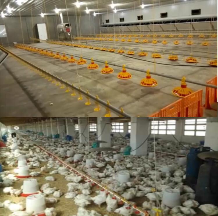 (المنظومات البيئيه (للصف السادس by Sofia Fawaz Assi - Ourboox.com