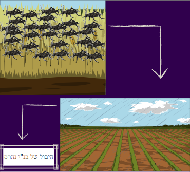 מה הסיפור? ספר יואל by ahouva azoulay - Illustrated by אהובה אזולאי - Ourboox.com