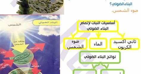 (المنظومات البيئيه (للصف السادس by Sofia Fawaz Assi - Ourboox.com