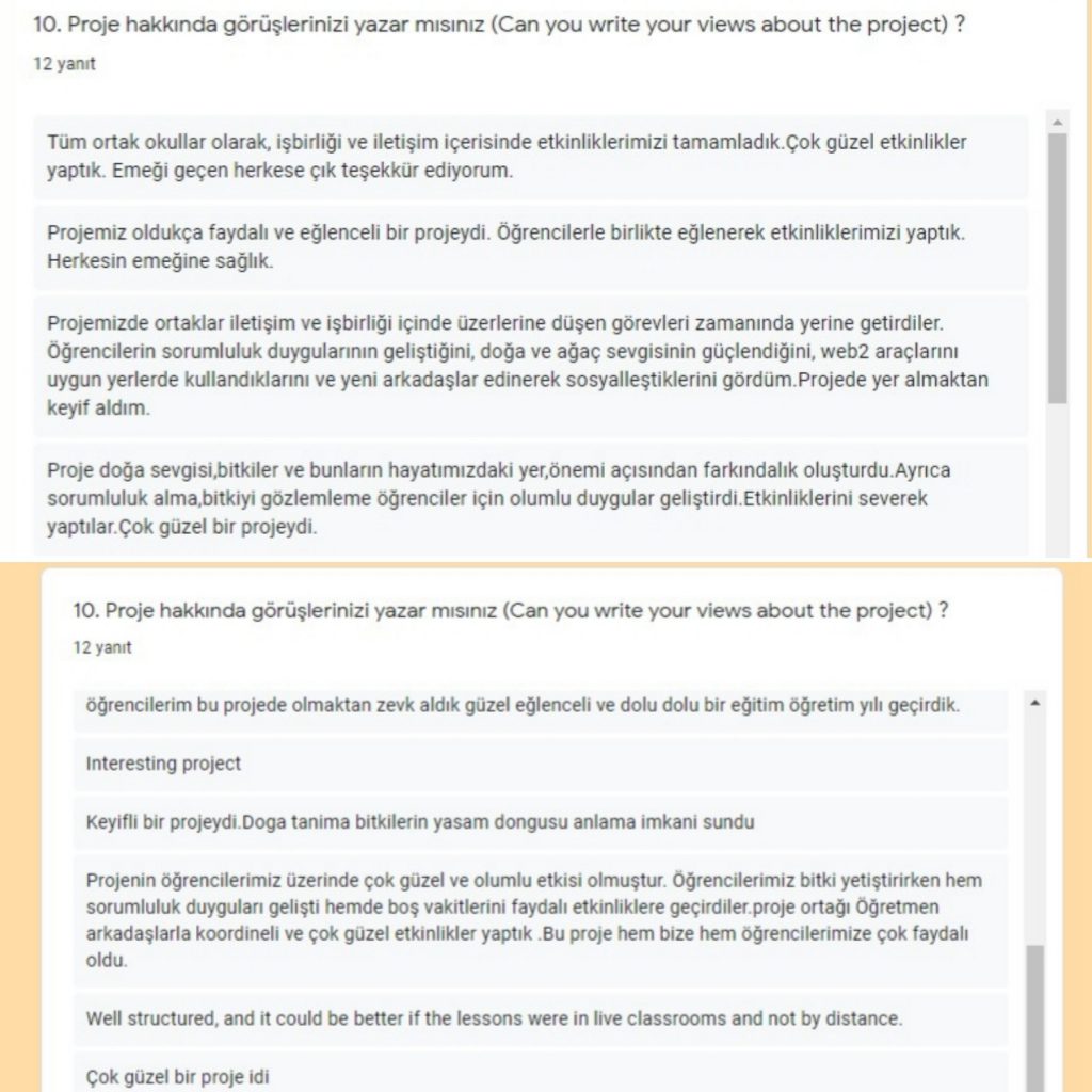 MY GARDEN PROJECT TEACHER LAST SURVEY RESULTS by Lale - Ourboox.com