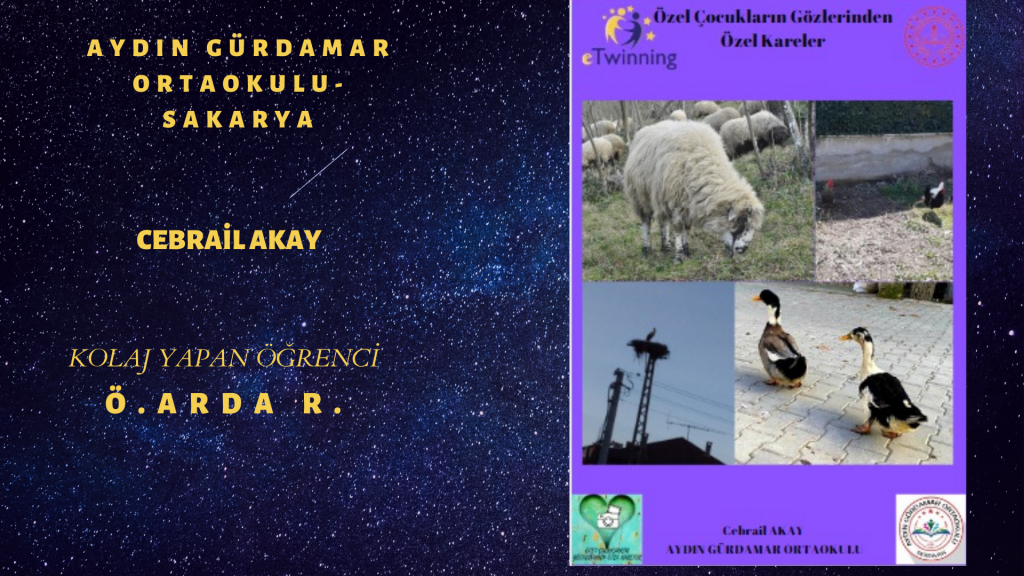 HAYVAN FOTOĞRAFLARI TAKIM ÇALIŞMASI by burak çelik - Ourboox.com