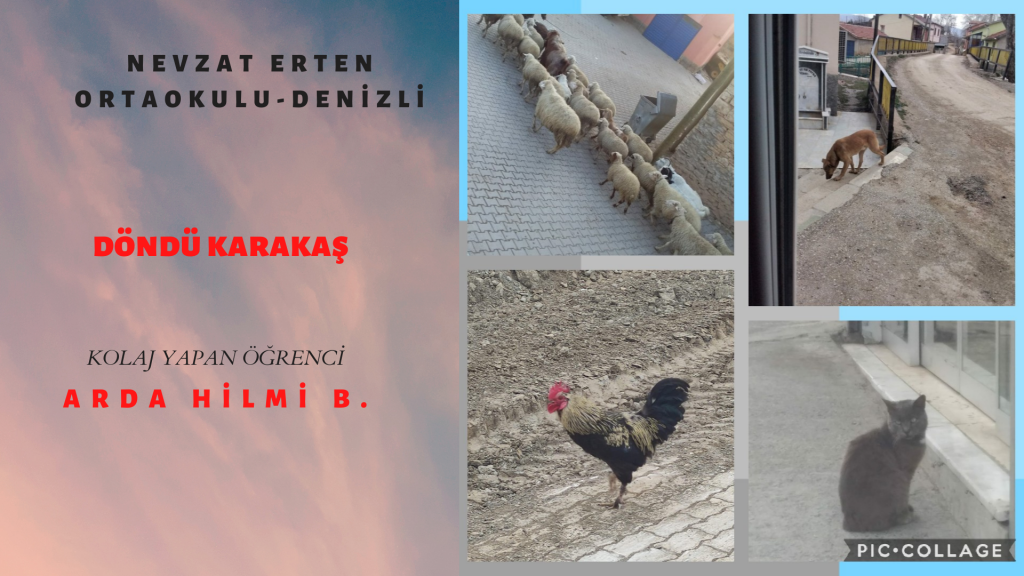 HAYVAN FOTOĞRAFLARI TAKIM ÇALIŞMASI by burak çelik - Ourboox.com