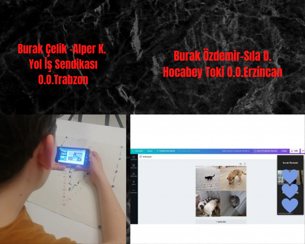 HAYVAN FOTOĞRAFLARI TAKIM ÇALIŞMASI by burak çelik - Ourboox.com