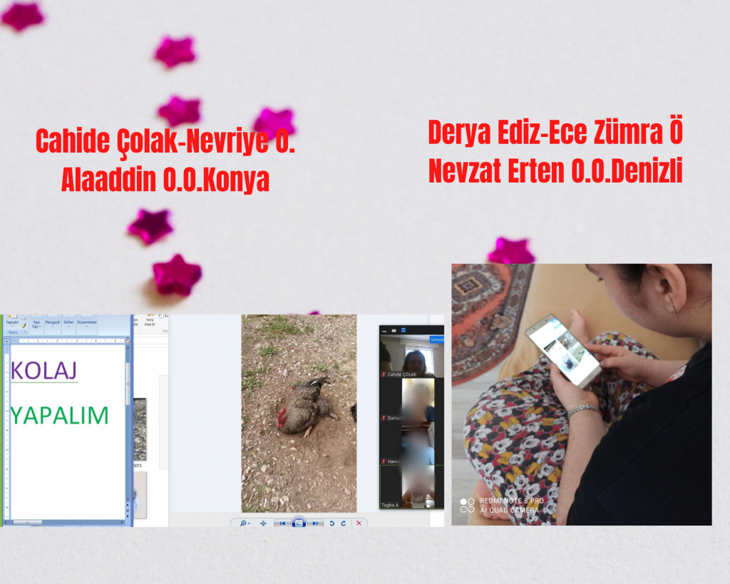 HAYVAN FOTOĞRAFLARI TAKIM ÇALIŞMASI by burak çelik - Ourboox.com