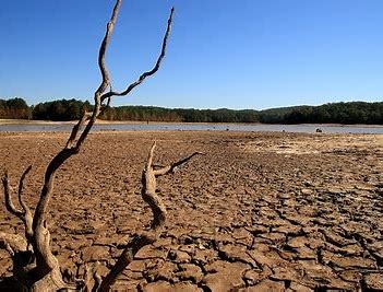 The book of Ruth by naama cohen - Illustrated by Naama Cohen, Aviv Almog, Tal Tilinger - Ourboox.com