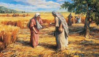 mini project- shavuot- Ori,Roni,Alona by ori blonder - Ourboox.com