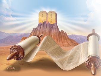 The story of ruth by tahel y - Illustrated by - Talya David Neta Haizler and Tahel Yehoshua - Ourboox.com