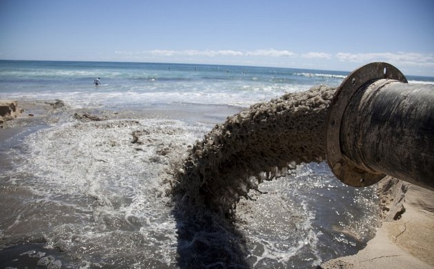 L’ACQUA by manila licari - Illustrated by Angileri Giorgia,De Pasquale Sofia,Licari Manila, Miceli Martina, Parrinello Alessia  - Ourboox.com