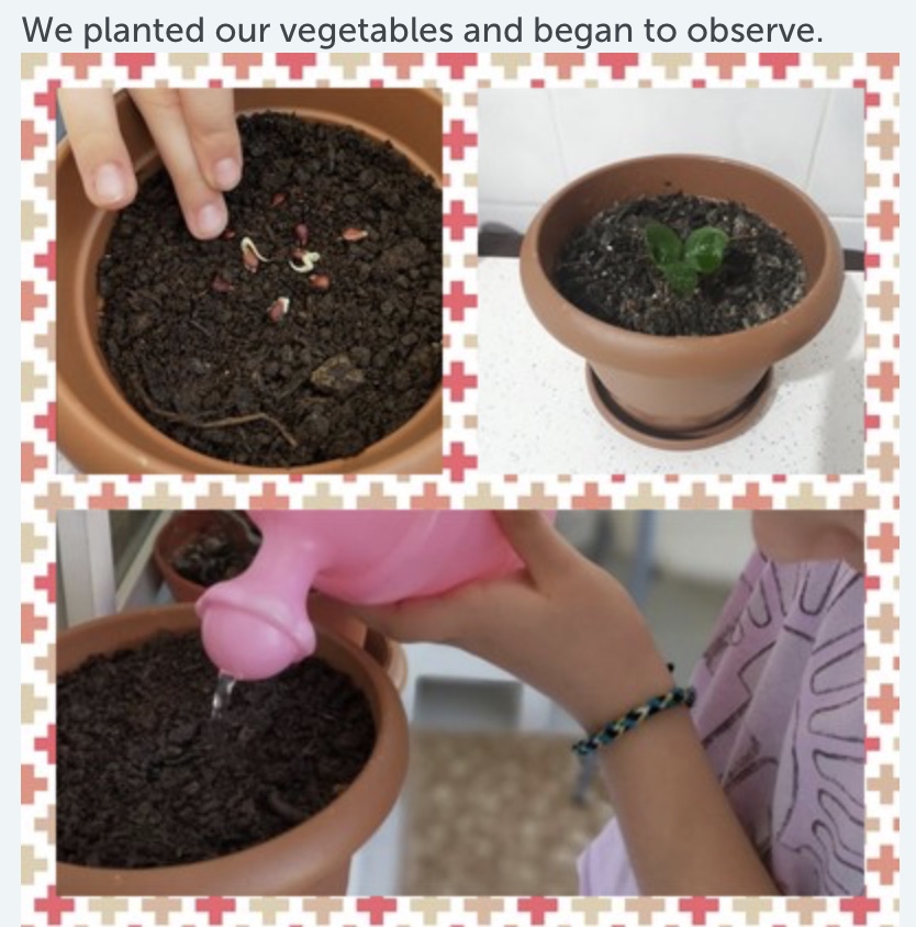 We love plants! Recipes Km0 with fruit and vegetables of our vegetable garden by Luisa - Ourboox.com